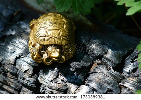 Metal turtle on a dark wooden background. Symbol of Feng Shui.