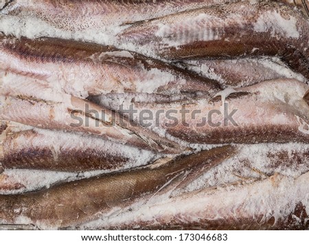 frozen carcass fish in brick for trade, background