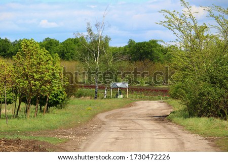 Beautiful green spring landscape with a country road