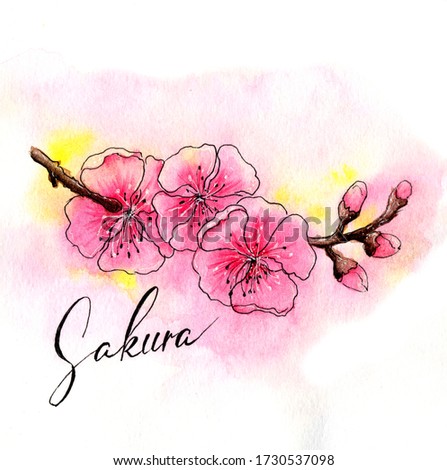 Watercolor greeting card - cherry blossom branch