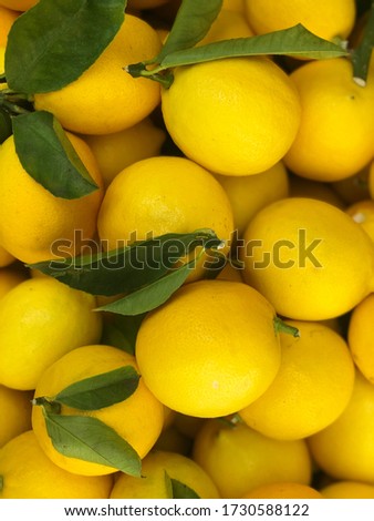 Fresh lemons in market.Healthy food concept.Full frame, copy space. Royalty-Free Stock Photo #1730588122