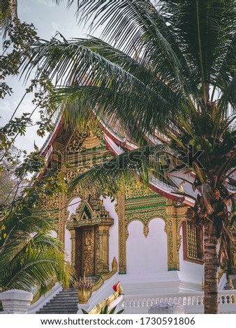 A temple in the town of Luang Prabang in Laos, a Buddhist Temple in Gold with a Palm Tree in Front