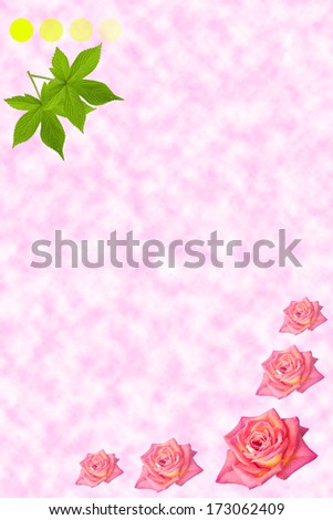 rose  elegant background with flowers