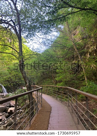 The Park walkway in Daedun Mountain 'Daedunsan', s.korea.