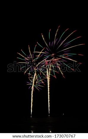 Brightly colorful fireworks in the night sky 
