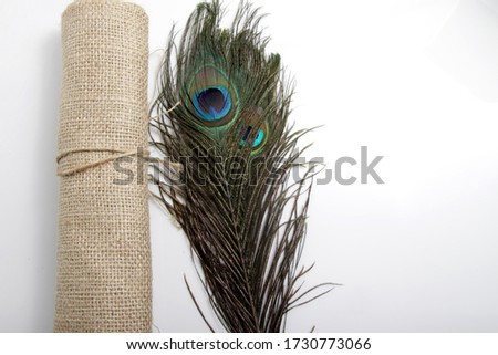 Picture of peacock's (male peafowl) feather that have an unique eyes shape pattern 