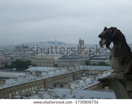 Gargoyles and Chimeras of Notre Dame Cathedral, Paris | Looking towards Basilica of the Sacred Heart of Paris, Sacré-Cœur Basilica