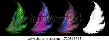 Set of mystical animal feathers with white clipping mask