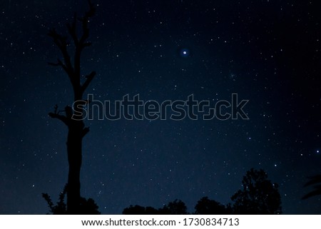 Dark cool night showed us the beauty of the sky and the stars. Cardamom plantations are often situated in dark places this results n beautiful night sky photos