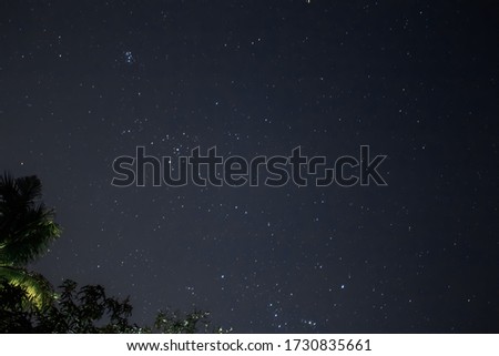 Photo of some constellation in a star filled sky taken from my garden. 