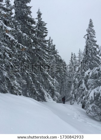 Man walking on snow in the forest in mountain