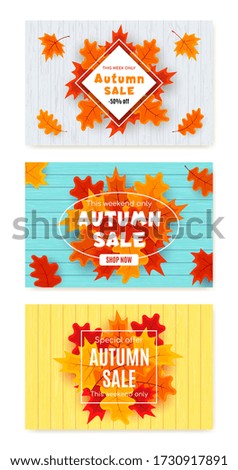 Set of autumn sale vector banner abstract background design with fall leaves, autumn typography and discount text. Vector illustration.