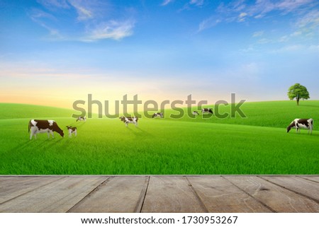 Empty wooden table top with blur green meadow, cows, morning light background.