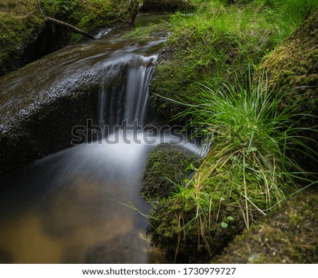 Time exposure of a small waterfall with grass growing on a rock