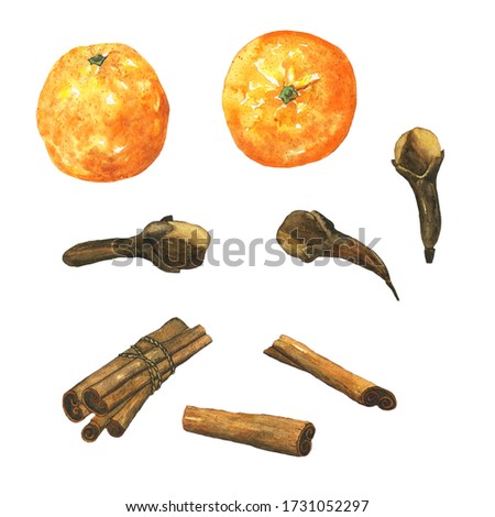 Cinnamon, clove spice and orange fruit collection isolated on white background. Watercolor hand drawing illustration for healthy food design, organic spice, mulled wine. Clip art.