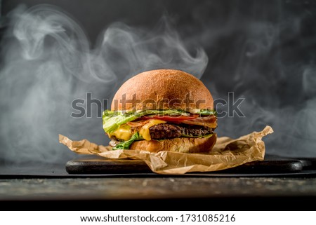Beef burger american cuisine tomato bbq meat cooking cafe restaurant smoke side view Royalty-Free Stock Photo #1731085216