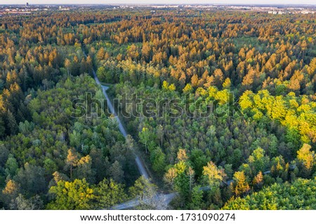Birdview shot of the Perlacher Forst forest in south Germany, near Munich at evening Royalty-Free Stock Photo #1731090274