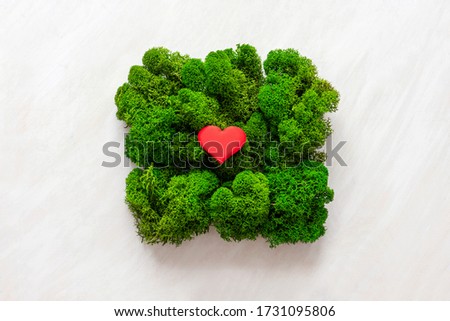 Natural moss texture with red heart on white wooden background. Top view, copy space.