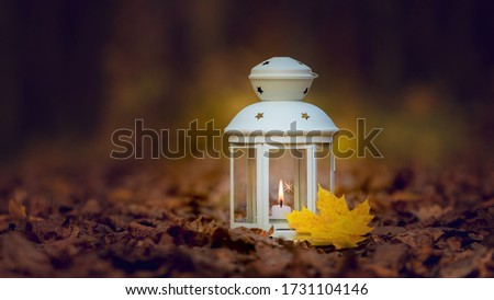 Lamp with a candle at night on a dry autumn leaf