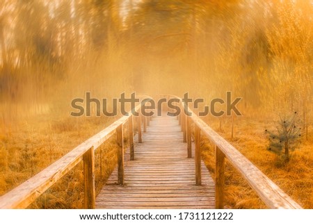 Dreamy Background photo edited to look like a dreamy path with an overall yellow orange color. 