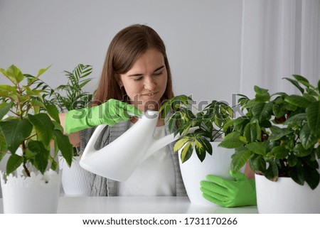 Woman among green house plants carefully watering indoor plants with white watering can