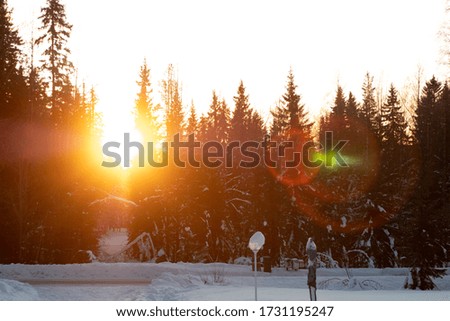 Sun is left in the image. You can see trees and snow. The picture is because of the beautiful light very orange