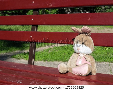 abandoned hare toy on the park bench