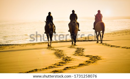 gorgeous picture of three riders with beautiful brown horses riding into the sunset on the beach towards the calm sea. Artistic view over the footsteps on the beach in orange light with lens flare