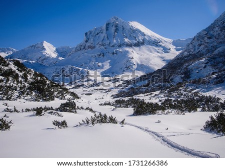 view of the snow-capped Pirin mountain, Bulgaria