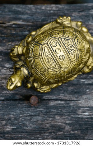 Metal turtle on a wooden background.