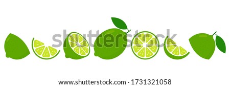 Lime fresh slices set. Cut limes fruit slice for lemonade juice or vitamin c logo. Citrus icons vector illustration isolated on white background. Royalty-Free Stock Photo #1731321058