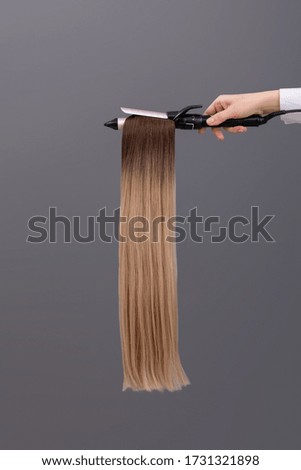 samples of dyed hair. hair cut for hair extensions on grey background