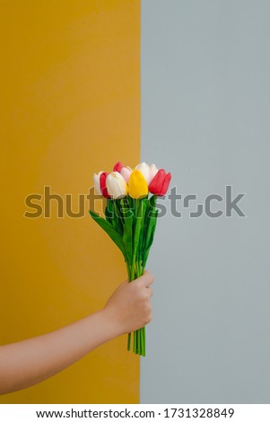 The hand of a woman holding a bouquet of red, yellow, pink, and white tulips artificial with contrasting yellow and gray background. Ideas for freshness, happiness, and fashion. There is a copy space.