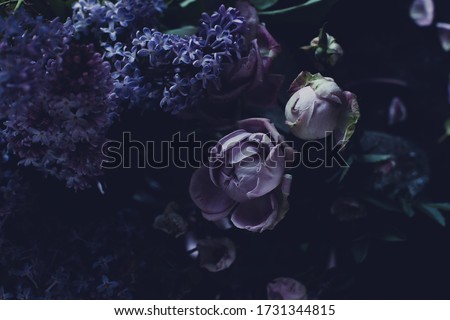 Floral background in trendy violet and lilac colors with faded effect. Purple roses and lilac on dark background, closeup. Design of floral card or signboard, selective focus