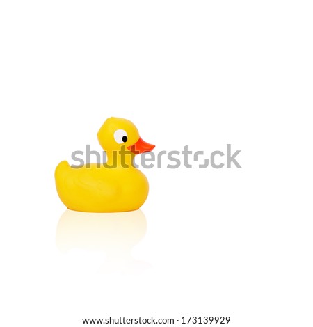  rubber duck baby toy isolated on white background