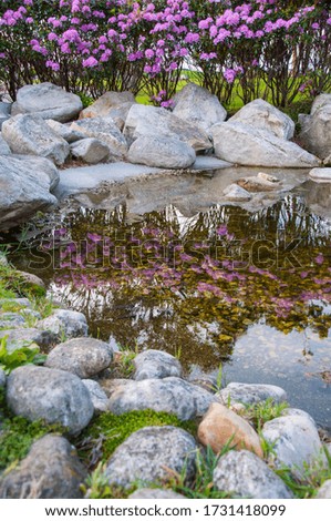 beautiful natural reflections in a pond in the middle of a mountain