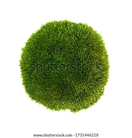 Green moss isolated on a white background close-up. moss on a white background. Full focus. No shadows.  Royalty-Free Stock Photo #1731446218