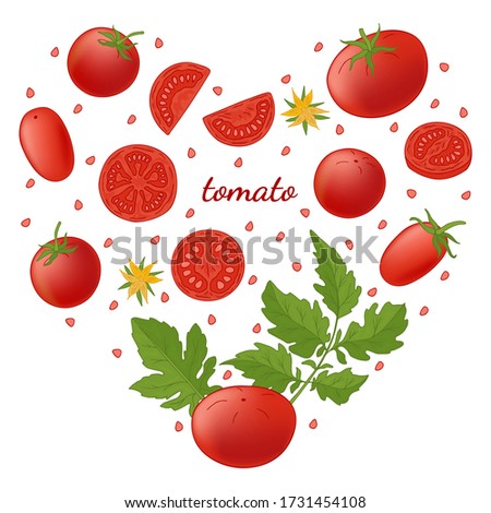 Set of vector elements. Red tomatoes, slices, green leaves, flowers in the form of a heart. Vegetables, vegetarian food, agricultural eco product. Drawn by hand. For various design, valentines day.