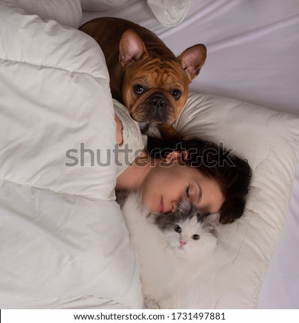 french bulldog and fluffy cat and young woman sleep on white bedding