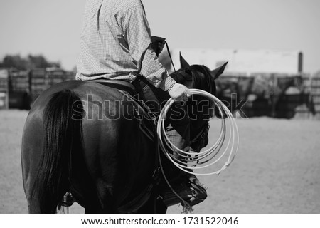 Western rodeo industry lifestyle shows roper cowboy on horse with rope in hand for practice in outdoor arena, black and white.
