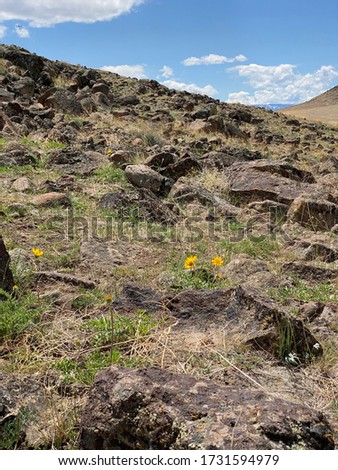 A beautiful spring time rock covered mountain in the northern Nevada desert.