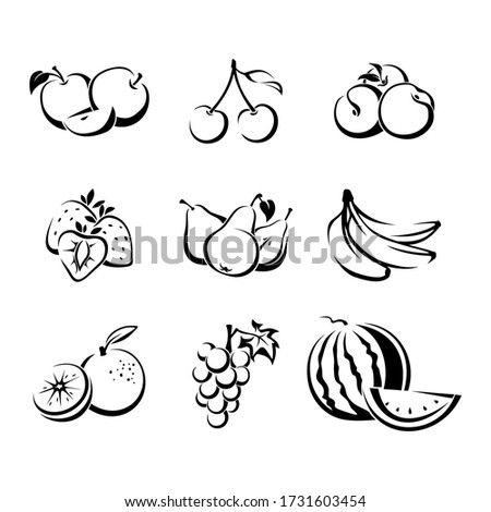 Set of various fruit and berries. Vector black contour drawing isolated on a white background.