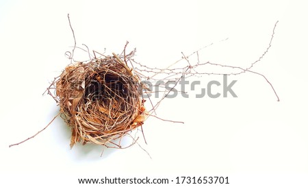 Top view of empty bird nest isolated on white background. Real empty bird nest brown color.