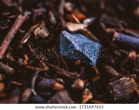 Closeup photo of a stone in the forest