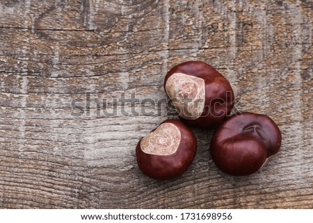 brown chestnuts on a background of light wood. Village still life.