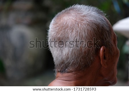 rear view of old man head with gray hair