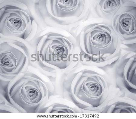 Roses Background black&white