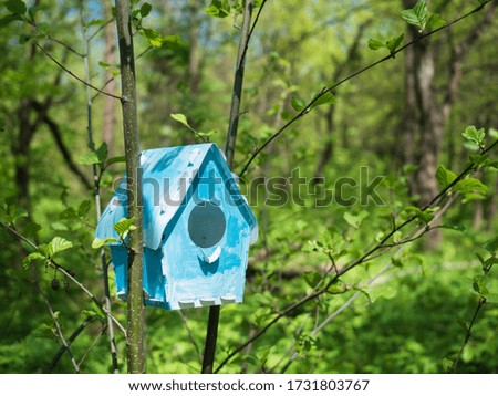 Hand-made bird feeder house in the forest. Eco-friendly handicraft ideas for DIY birdhouse, which protects the environment