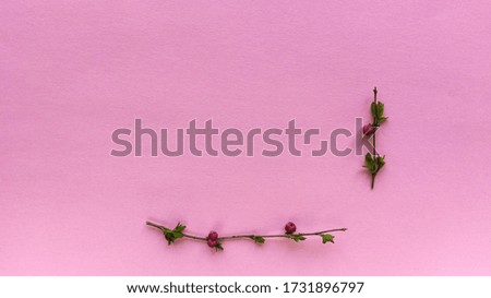 Minimalistic frame from branches with leaves and berries on a light pink color background with pastel texture. Simple flat lay with copy space. Floral concept. Stock photo.