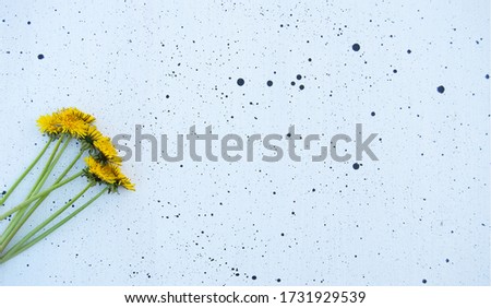 A female desktop layout with an empty place and yellow dandelions on a white  background with black drops of different sizes. Empty space. Stylized stock photo, web banner. Flat lay, top view.